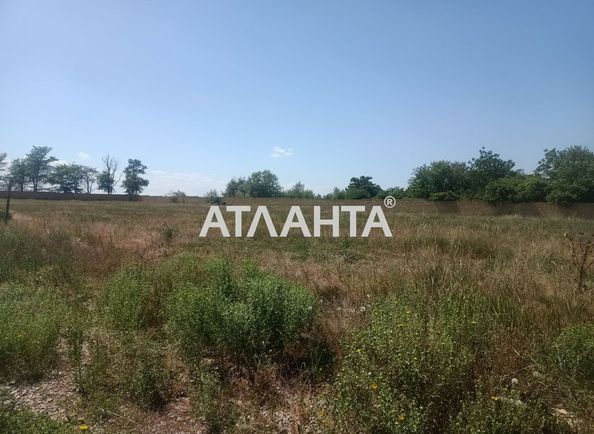 Landplot by the address st. Zhemchuzhnaya (area 10 acr) - Atlanta.ua - photo 3