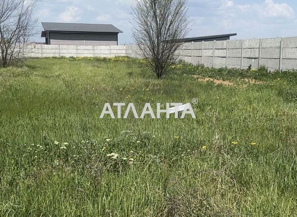 Landplot by the address st. Novaya (area 9,6 acr) - Atlanta.ua - photo 3