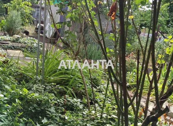 Дом по адресу ул. 5-я линия (площадь 75 м²) - Atlanta.ua - фото 12