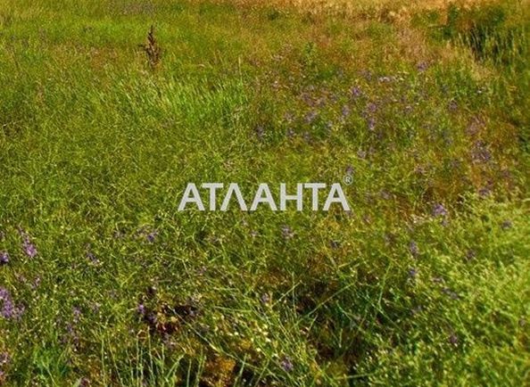 Landplot landplot (area 25,0 сот) - Atlanta.ua