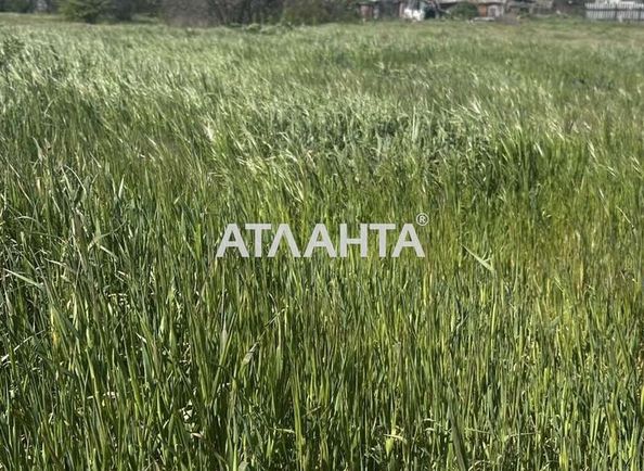Участок по адресу ул. Хлебодарская (площадь 8 сот) - Atlanta.ua - фото 7