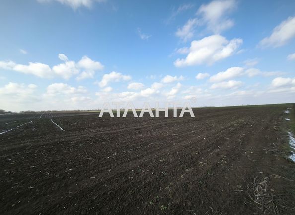 Landplot by the address st. Massiv 1 Velikiy Dalnik (area 25 acr) - Atlanta.ua - photo 4