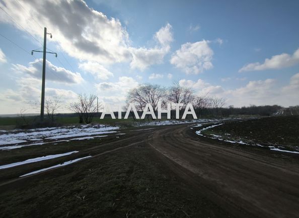 Landplot by the address st. Massiv 1 Velikiy Dalnik (area 25 acr) - Atlanta.ua - photo 6