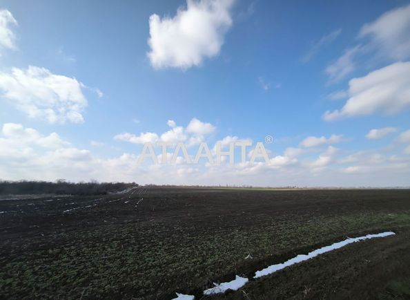 Landplot by the address st. Massiv 1 Velikiy Dalnik (area 25 acr) - Atlanta.ua - photo 7