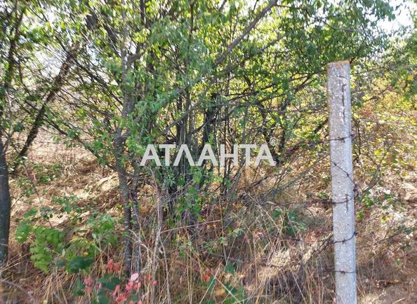 Landplot by the address st. Vtoraya (area 9,0 сот) - Atlanta.ua - photo 3