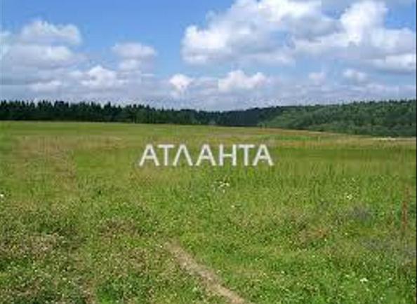 Landplot by the address st. Polevaya (area 8,5 acr) - Atlanta.ua - photo 3
