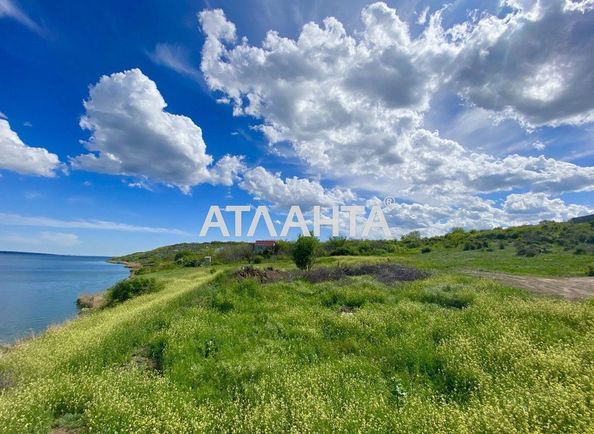 Участок по адресу ул. Центральная (площадь 19,7 сот) - Atlanta.ua