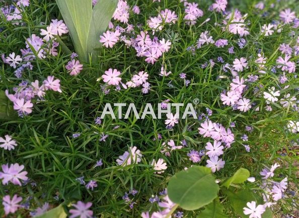 Landplot by the address st. Krasnykh zor per (area 12 acr) - Atlanta.ua - photo 4