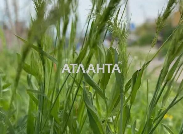 Landplot by the address st. Krasnykh zor per (area 12 acr) - Atlanta.ua - photo 3
