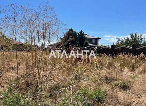 Landplot by the address st. Ozernaya (area 4,5 acr) - Atlanta.ua - photo 4