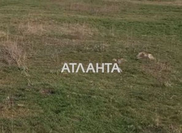 Landplot by the address st. Sadovaya (area 8 acr) - Atlanta.ua - photo 4