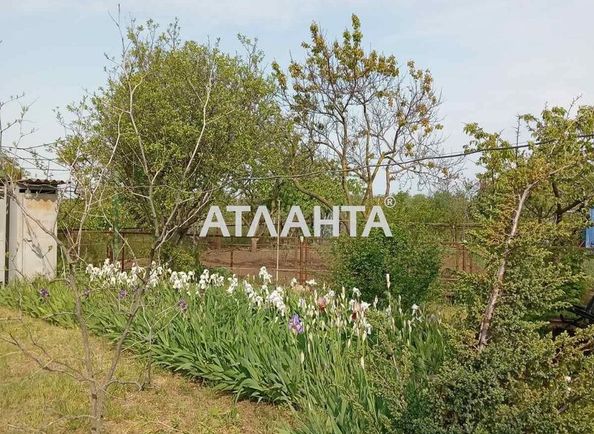 Dacha by the address st. Botanicheskaya (area 31,0 m2) - Atlanta.ua - photo 13