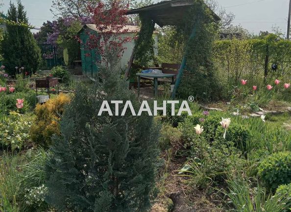 Dacha by the address st. Botanicheskaya (area 31,0 m2) - Atlanta.ua - photo 14