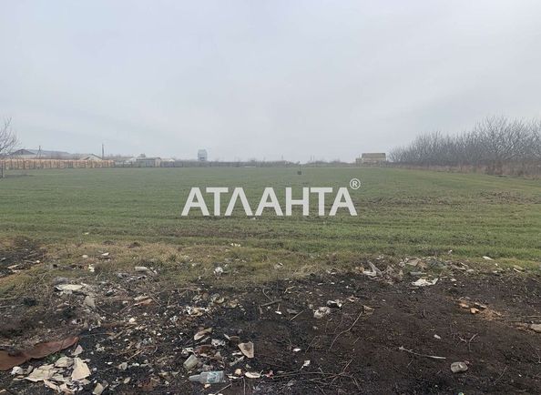 Ділянка за адресою вул. Нова (площа 28 сот) - Atlanta.ua
