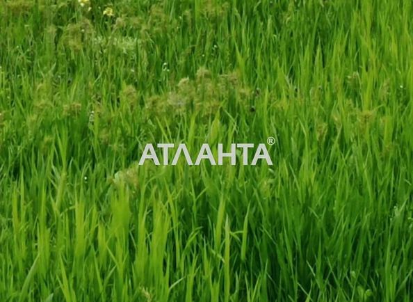 Landplot by the address st. Uyutnaya Zatishna (area 15 acr) - Atlanta.ua - photo 3
