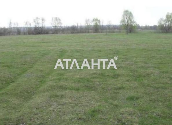 Landplot by the address st. Vinnichenko (area 8,0 сот) - Atlanta.ua - photo 4