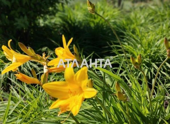 Участок по адресу ул. Парковая (площадь 5 сот) - Atlanta.ua - фото 3