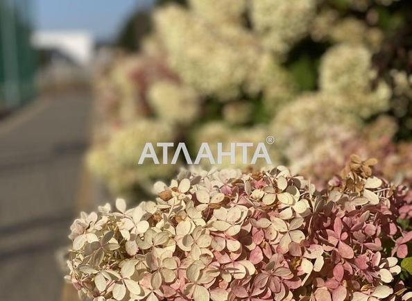 Landplot by the address (area 6,8 acr) - Atlanta.ua - photo 4