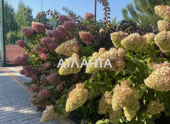 Landplot by the address (area 6,8 acr) - Atlanta.ua - photo 9