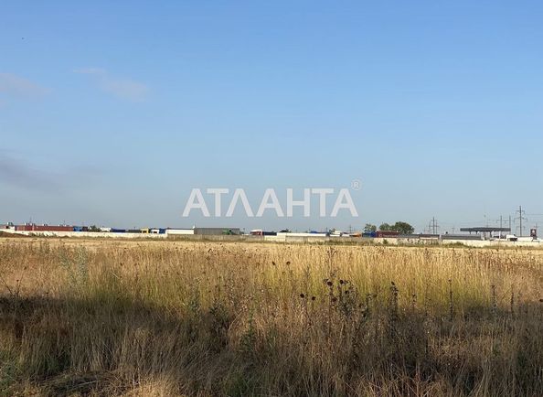 Landplot by the address st. Massiv 9 (area 178 acr) - Atlanta.ua - photo 5
