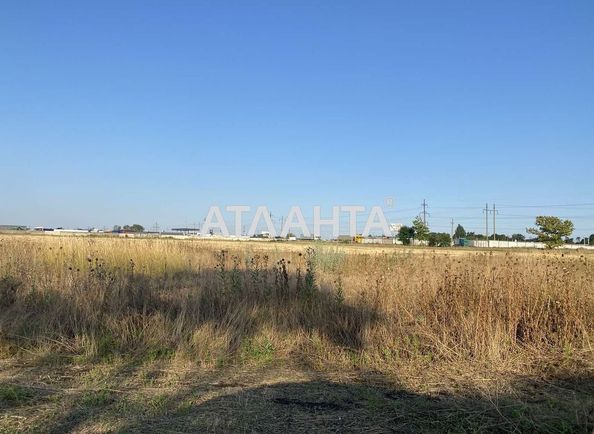 Landplot by the address st. Massiv 9 (area 178 acr) - Atlanta.ua - photo 6