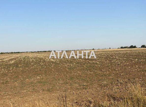 Landplot by the address st. Massiv 2 (area 360 acr) - Atlanta.ua - photo 4