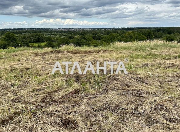 Landplot by the address st. Glinyanskiy Trakt ul (area 16,0 сот) - Atlanta.ua - photo 3