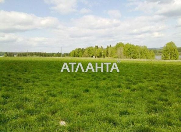 Landplot by the address (area 10 acr) - Atlanta.ua - photo 4