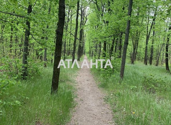 Landplot by the address st. Naberezhnaya (area 5,2 сот) - Atlanta.ua - photo 15