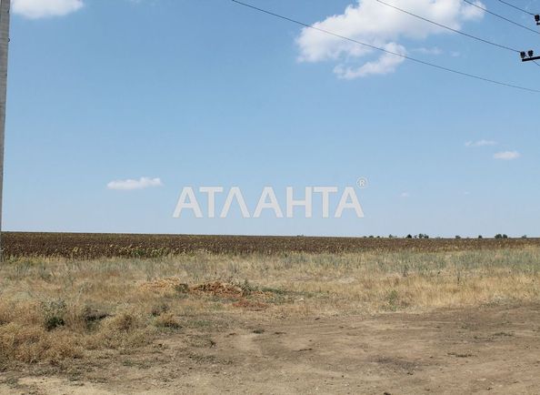 Landplot by the address st. Koltsevaya (area 10 acr) - Atlanta.ua - photo 3