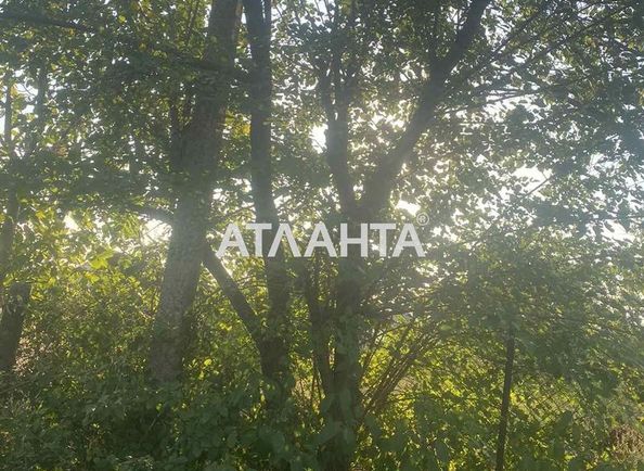 Landplot by the address st. Tsvetochnaya (area 6,0 сот) - Atlanta.ua - photo 6