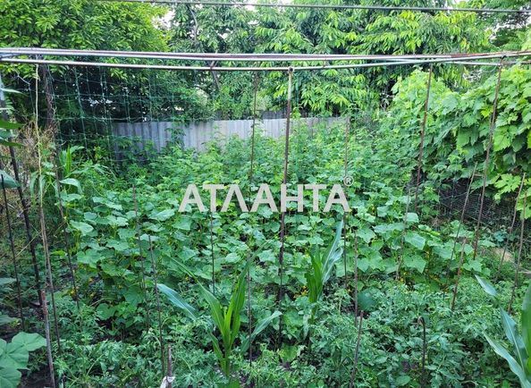 House house and dacha (area 60,0 m2) - Atlanta.ua - photo 16