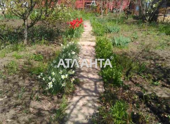 Dacha (area 40 m²) - Atlanta.ua - photo 11