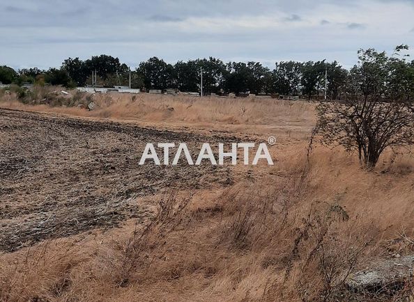 Landplot by the address (area 7,5 acr) - Atlanta.ua - photo 2