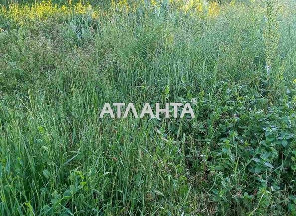 Landplot by the address st. Druzhnaya (area 6,0 сот) - Atlanta.ua - photo 2
