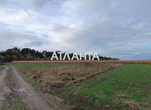 Landplot by the address (area 19,0 сот) - Atlanta.ua - photo 3