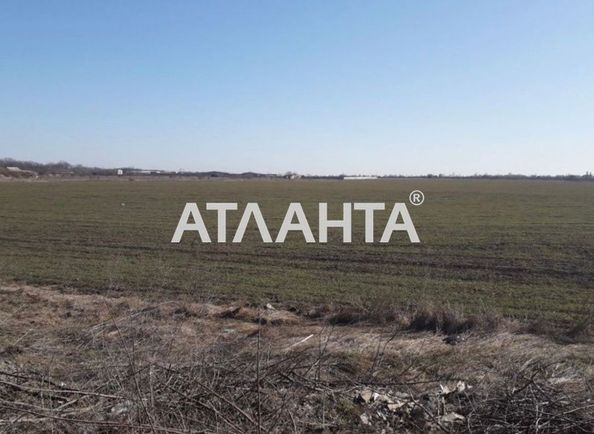 Landplot by the address st. Massiv 4 (area 25 acr) - Atlanta.ua - photo 5
