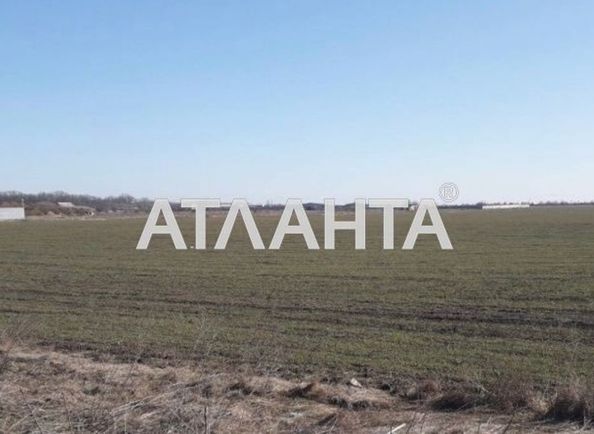 Landplot by the address st. Massiv 4 (area 25 acr) - Atlanta.ua - photo 6