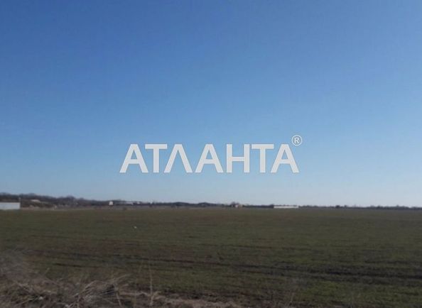Landplot by the address st. Massiv 4 (area 25 acr) - Atlanta.ua - photo 7