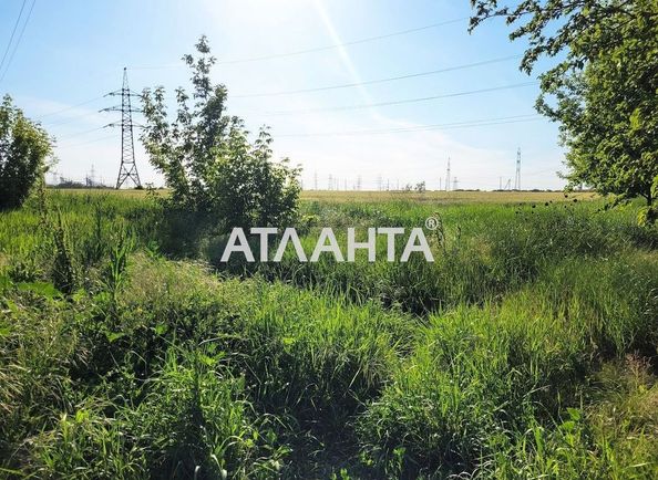 Landplot by the address st. Massiv 15 (area 178 acr) - Atlanta.ua - photo 2