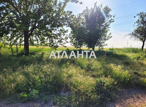 Landplot by the address st. Massiv 15 (area 178 acr) - Atlanta.ua - photo 3