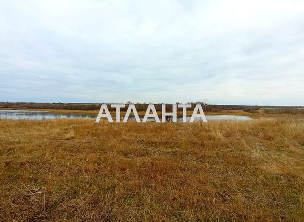 Landplot by the address st. Shevchenko (area 17,5 сот) - Atlanta.ua - photo 6