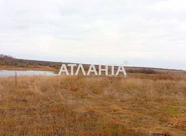 Landplot by the address st. Shevchenko (area 17,5 сот) - Atlanta.ua - photo 9