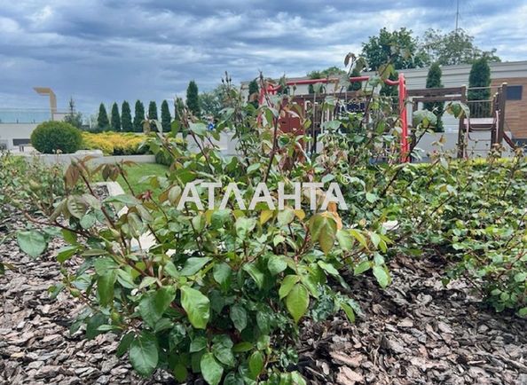 1-комнатная квартира по адресу Маячный пер. (площадь 30 м²) - Atlanta.ua - фото 19