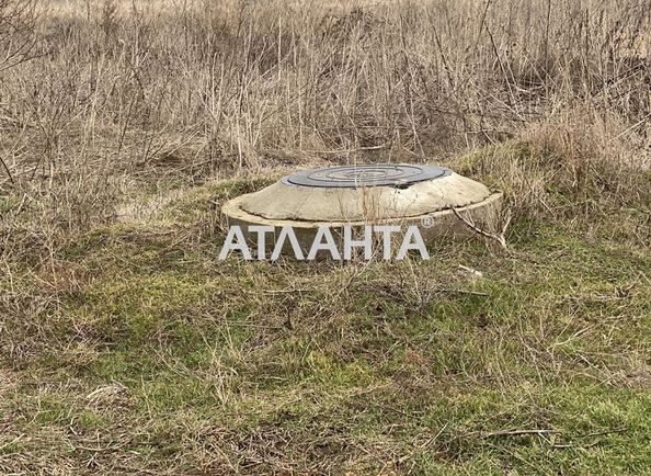 Landplot by the address st. Dachnaya (area 10 acr) - Atlanta.ua - photo 6