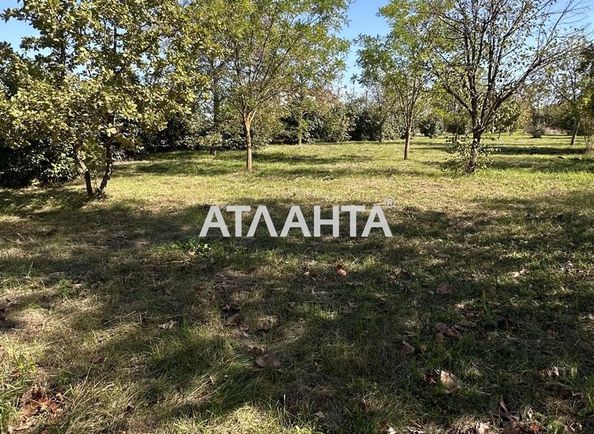 Ділянка за адресою вул. Миколаївська (площа 15 сот) - Atlanta.ua