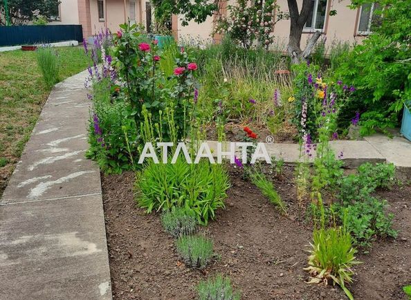 Будинок за адресою вул. Центральна (площа 72 м²) - Atlanta.ua