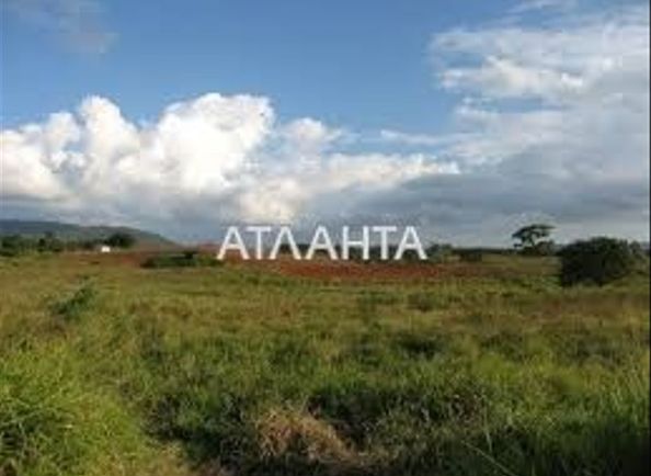 Landplot by the address st. Olgievskaya (area 12,7 acr) - Atlanta.ua - photo 5