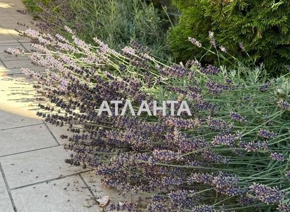 Будинок за адресою вул. Тіниста (площа 249,7 м²) - Atlanta.ua - фото 35