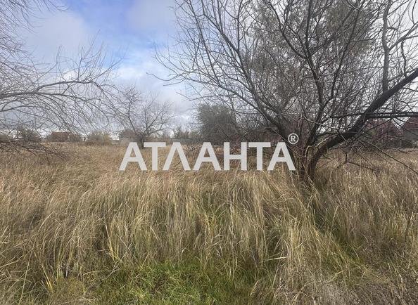 Landplot by the address st. Dachnaya (area 10 acr) - Atlanta.ua - photo 5